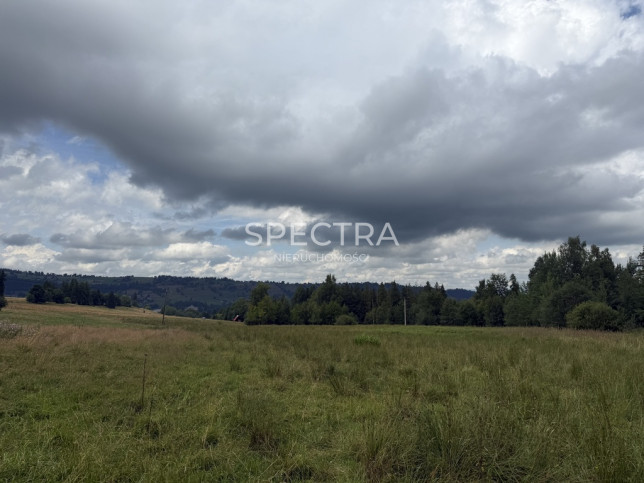 Działka Sprzedaż Zakopane 4