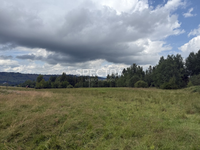 Działka Sprzedaż Zakopane 5